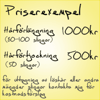mina-priser-top
